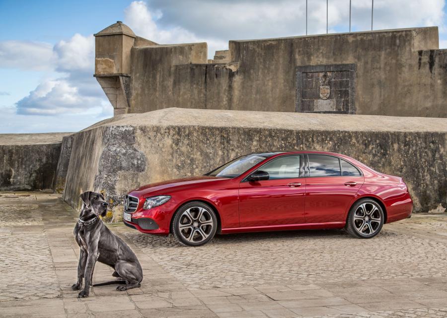  Mercedes-Benz E300 Avantgarde Line 2016 года  (фото 10 из 26)